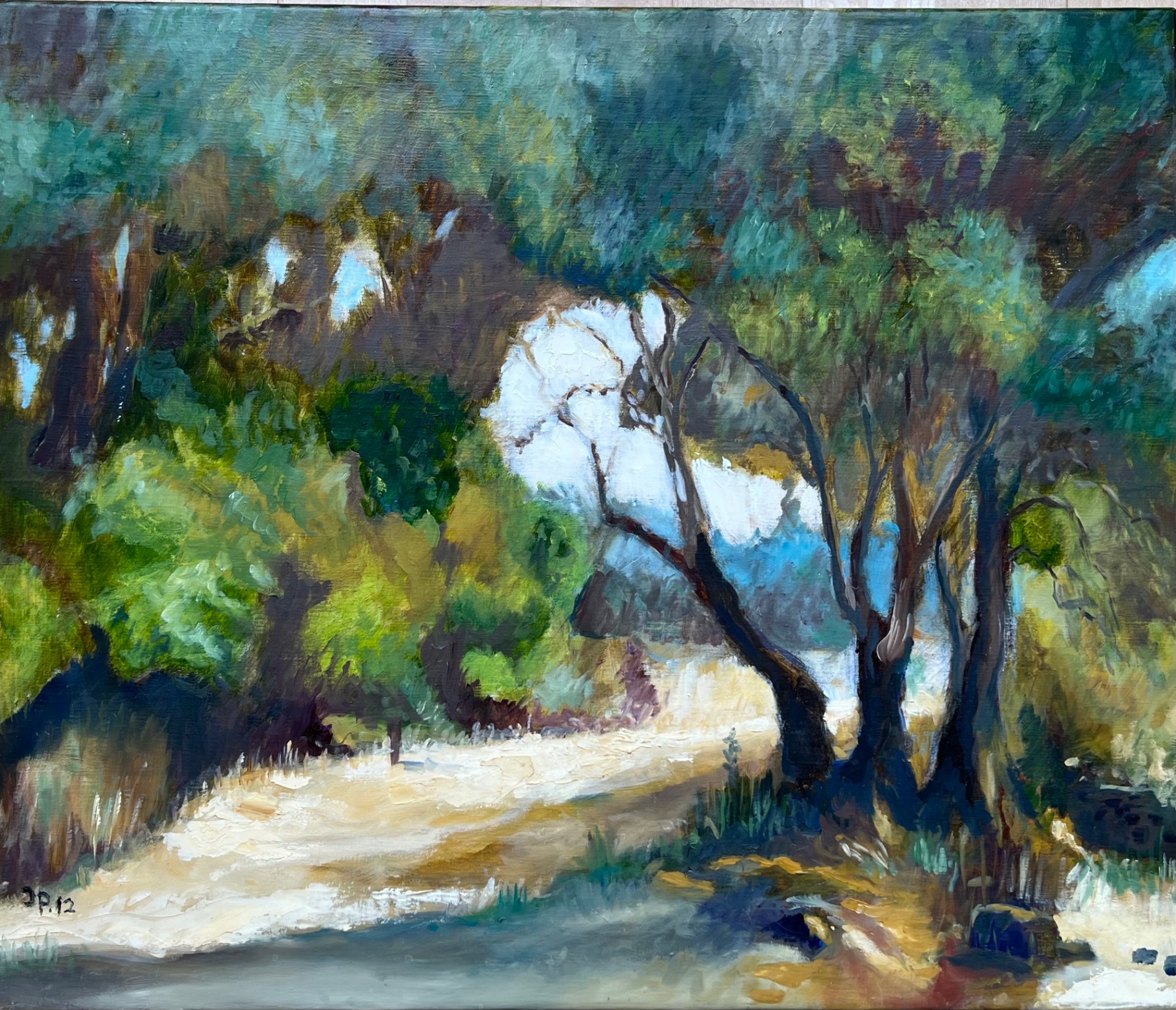 Olivenhain im Sommerlicht — Ölbild von Jürgen P.