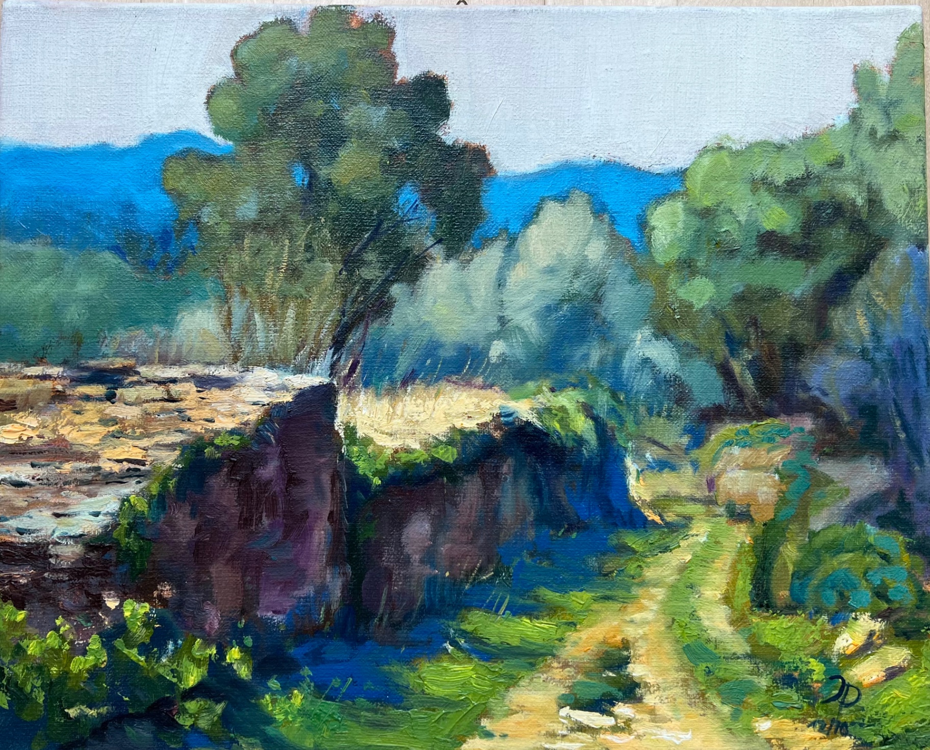 Sommerlandschaft mit Bäumen — Ölbild von Jürgen P.